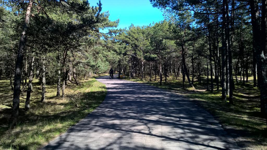 Roberto Apartamentai Palanga Dış mekan fotoğraf